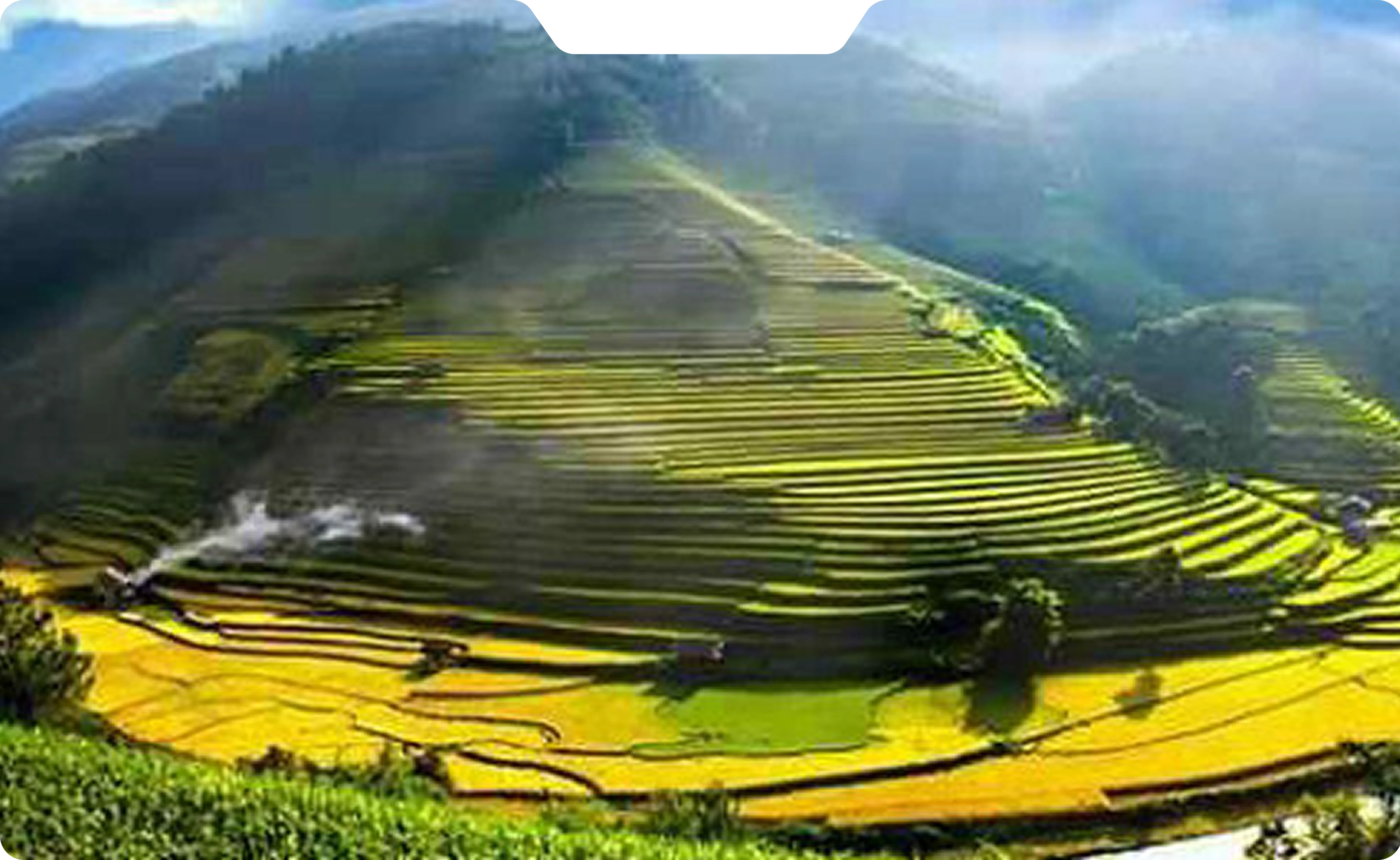 Background