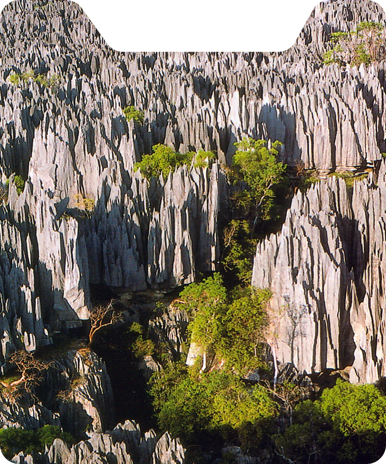 Circuito Tsingy de Bemaraha