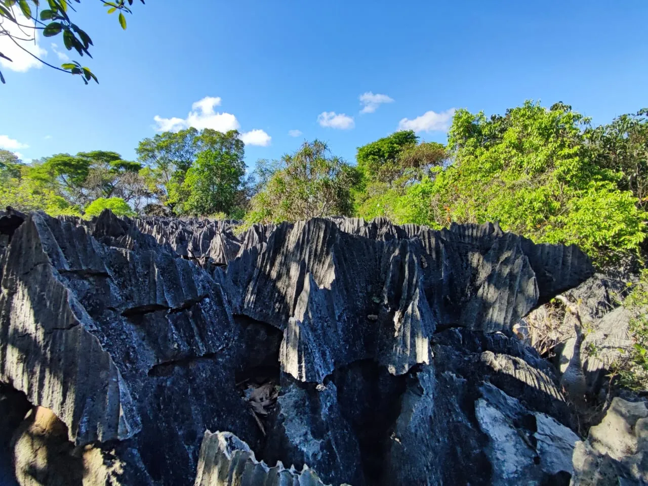 Madagascar tour gallery - Prestige Travel 2