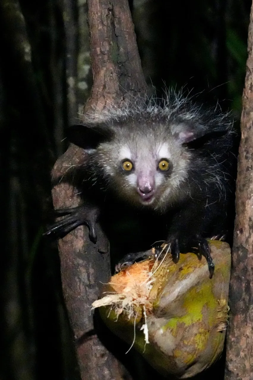 Madagascar tour gallery - Prestige Travel 3