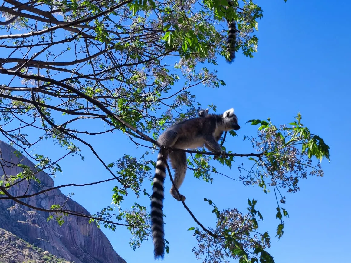 Madagascar tour gallery - Prestige Travel 3