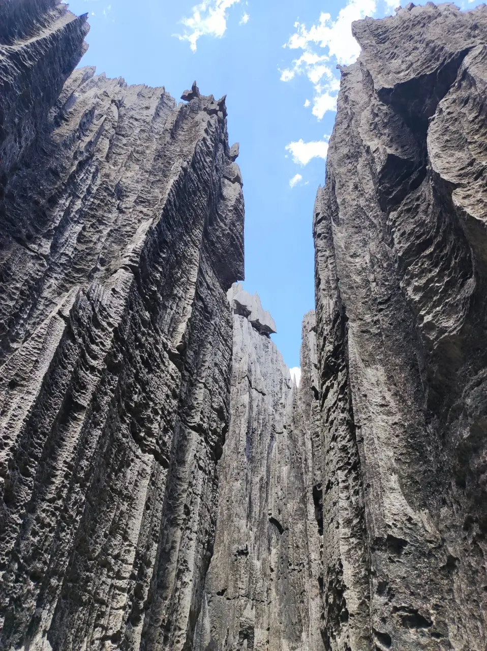 Madagascar tour gallery - Prestige Travel 3