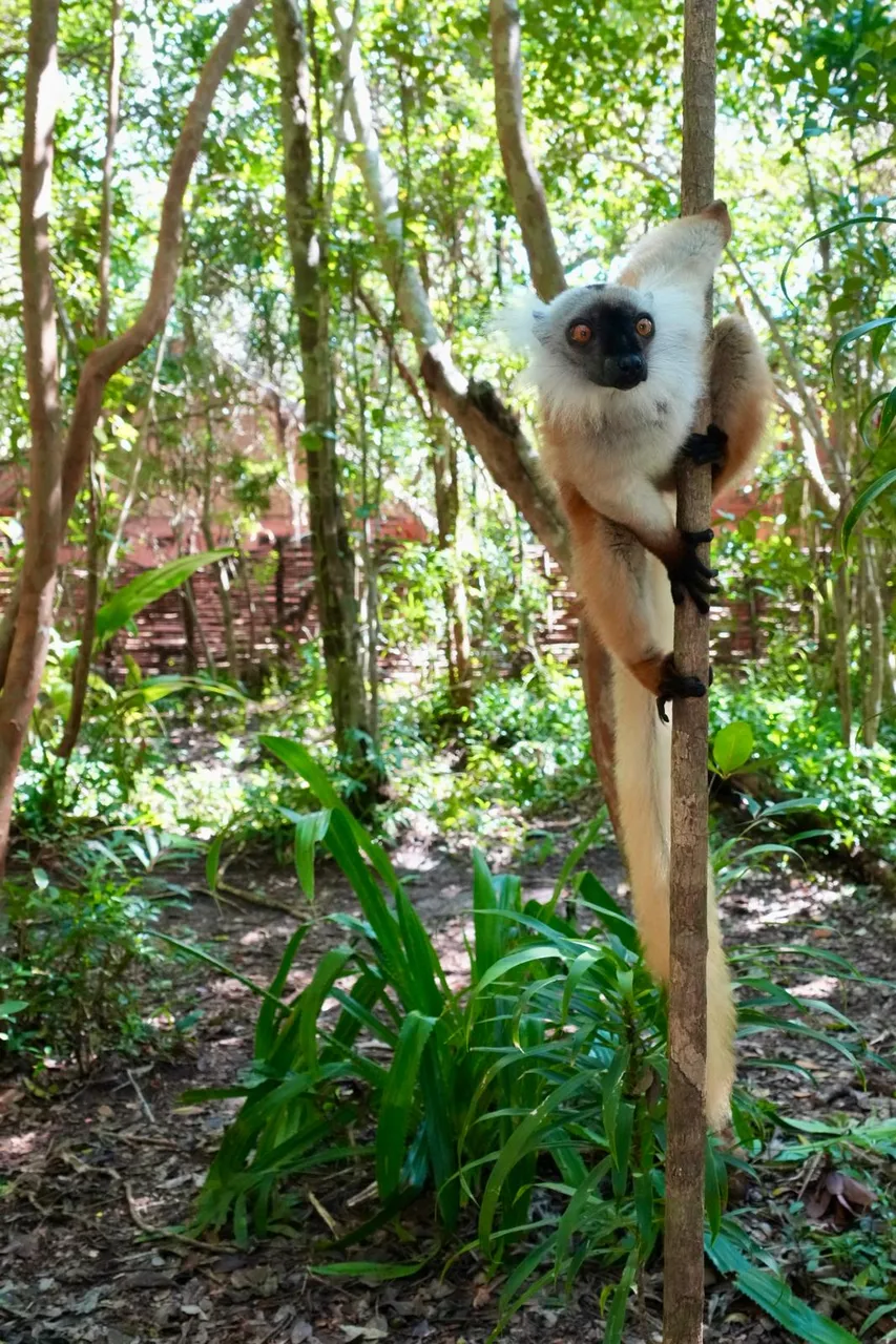 Madagascar tour gallery - Prestige Travel 4