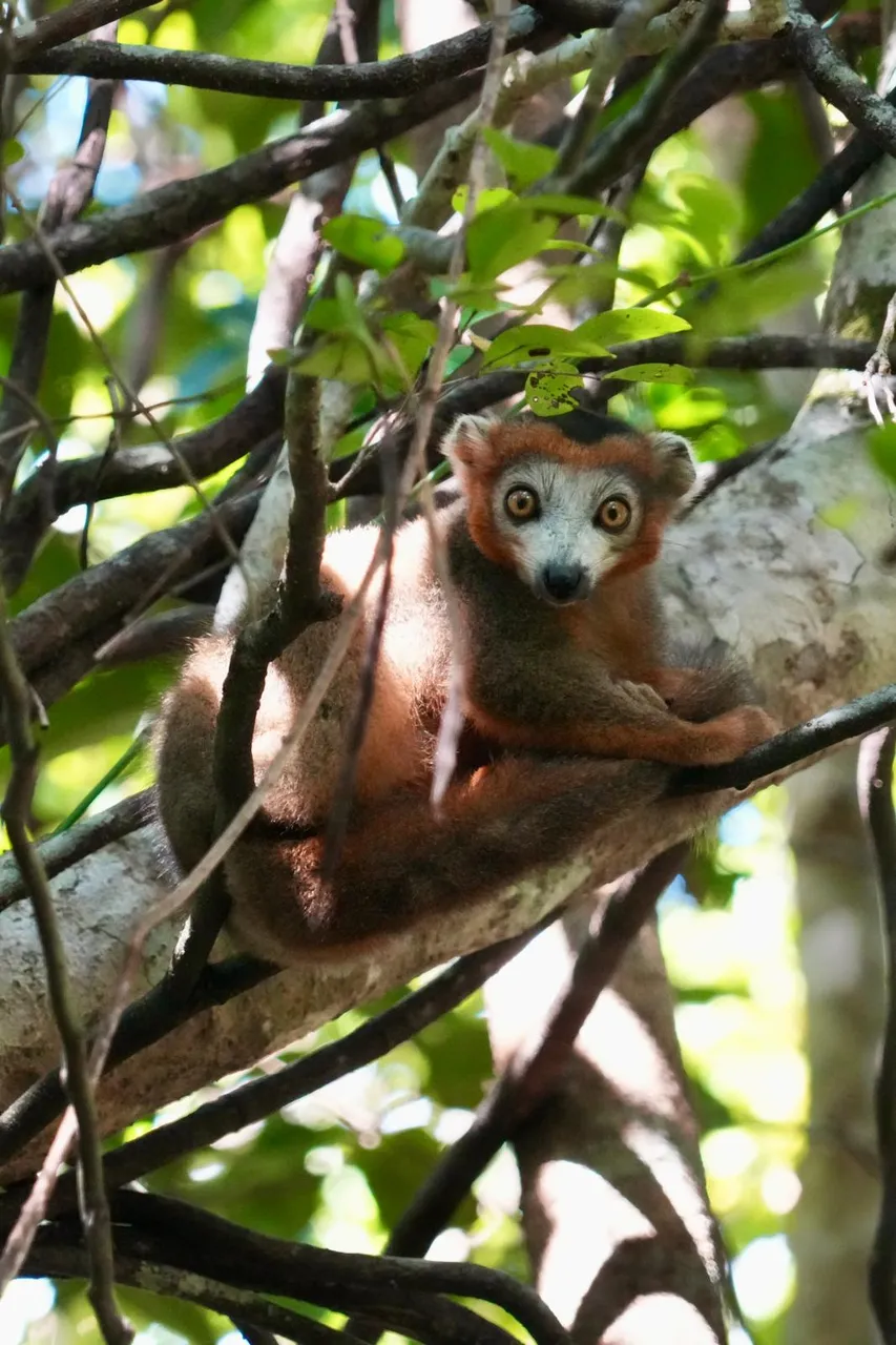 Madagascar tour gallery - Prestige Travel 4
