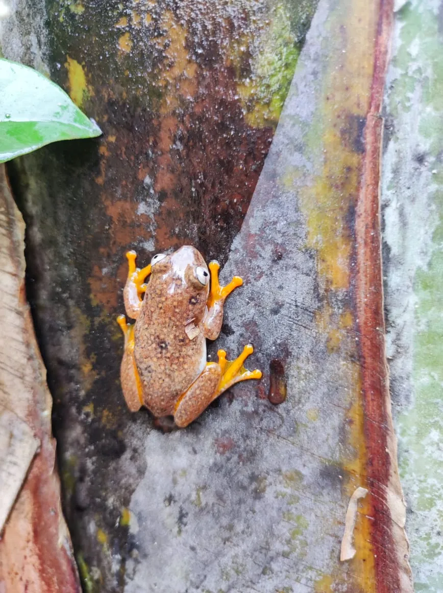 Madagascar tour gallery - Prestige Travel 2
