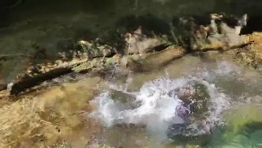 Natural Pools